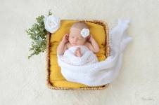 Elodie LAZAR - LAZAR PHOTOGRAPHIE