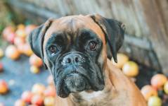 Nicolas FRUCHART - NICOLAS FRUCH'ART PHOTOGRAPHY