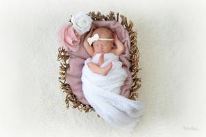 Elodie LAZAR - LAZAR PHOTOGRAPHIE